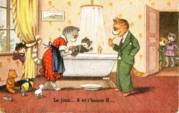 CP  ANIMAUX HABILLES - CHATS - LE JOUR….B ET L´HEURE H…. - Dressed Animals