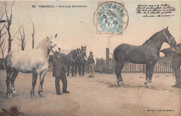 27- VERNEUIL -  NOS BONS PERCHERONS - Verneuil-sur-Avre