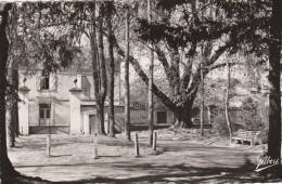 MATHA - DANS LE JARDIN PUNLIC - BELLE CARTE PHOTO - - Matha