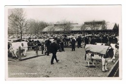 CPSM PAYS BAS LEEUWARDEN Veemarkt - Leeuwarden