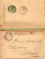 Russie Entier Postal Bande De Journal Pour L'Allemagne 1895 - Ganzsachen