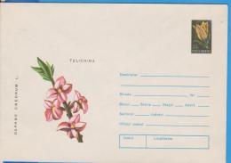 MEDICINAL HERBS DAPHNE CNEORUM   ROMANIA  STATIONERY - Geneeskrachtige Planten