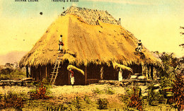 Z Z  937 /  C P A    AFRIQUE  -SIERRA LEONE  - THATCHING A HOUSE - Sierra Leone