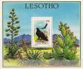 LESOTHO Oiseaux, Cactées, Rapaces; Birds, Vögel, Yvert BF 34.  ** Neuf Sans Charniere MNH. - Arends & Roofvogels