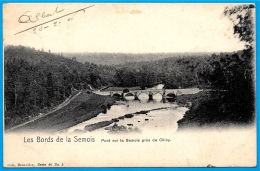 Delcampe - CPA Belgie Belgique - Les Bords De La Semois - Pont Sur La Semois Près De CHINY ° Nels - Chiny