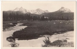 Tuolumne Meadows, RPPC Real Photo Postcard [17389] - Yosemite