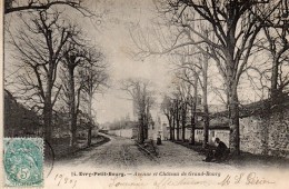 EVRY- PETIT- BOURG-AVENUE ET CHATEAU DE GRAND BOURG-BE - Evry