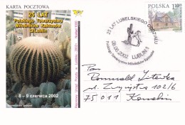 Cactus - Enveloppe - Carte - Document - Cactusses