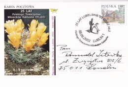 Cactus - Enveloppe - Carte - Document - Sukkulenten