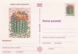 Cactus - Enveloppe - Carte - Document - Cactusses