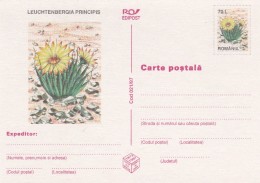 Cactus - Enveloppe - Carte - Document - Cactus
