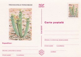 Cactus - Enveloppe - Carte - Document - Cactus