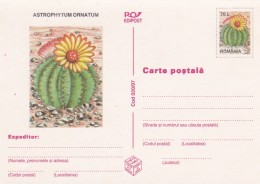 Cactus - Enveloppe - Carte - Document - Sukkulenten