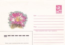 Cactus - Enveloppe - Carte - Document - Cactusses