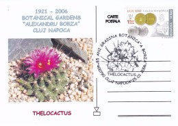 Cactus - Enveloppe - Carte - Document - Cactusses