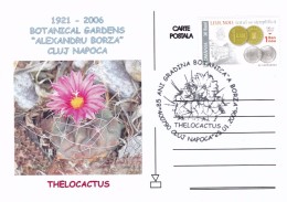 Cactus - Enveloppe - Carte - Document - Cactus