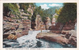 The Chasm Near Elephant's Head Ausable Chasm New York Curteich - Adirondack