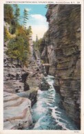 Down The Chasm From Devil's Punch Bowl Ausable Chasm New York Curteich - Adirondack