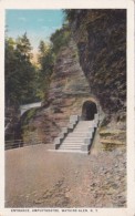 Entrance To Amphitheatre Watkins Glen New York Curteich - Adirondack