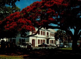 LA REUNION...HOTEL DE VILLE ST-PIERRE...CPM - Saint Pierre