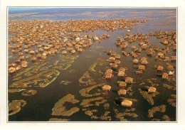 CPSM Benin-Ganvié-Village Sur Pilotis     L2102 - Benin