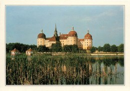 CPSM Le Château De Moritzburg     L2102 - Moritzburg