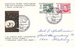 Groenland - Carte Postale De 1980 - Oblitération SDR Stromfjord - Ours - Avec Vignette Julien - Lettres & Documents