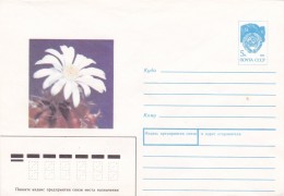 Cactus - Enveloppe - Carte - Document - Cactusses