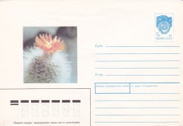 Cactus - Enveloppe - Carte - Document - Cactus