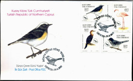 BIRDS-FLAMINGOS-ERROR-FDC-NORTHERN TURKISH CYPRUS-2003-SCARCE-D3-17 - Flamencos