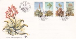 Cactus - Enveloppe - Carte - Document - Sukkulenten