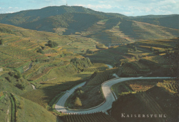 Kaiserstuhl - Weinparadies Am Oberrhein - Kaiserstuhl