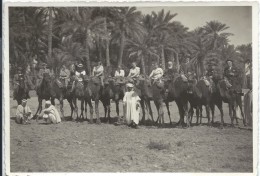 2 Photographies D´amateur /Oasis De BISKRA/Chameaux / Algérie //1938           PHOTN166 - Oud (voor 1900)