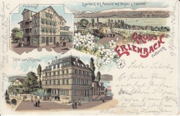 Erlenbach, Gruss Aus - Farbige Litho - Werkhof, Hotel Zum Kreuz, Aussicht - Erlenbach