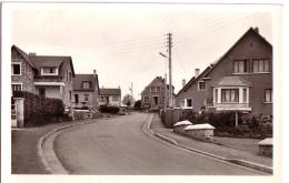 VILLAINES-LA-JUHEL: Rue De La Vigne - Villaines La Juhel