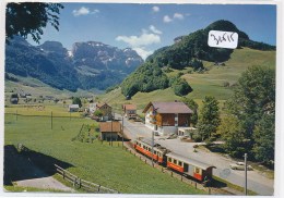 CPM GF-31515- Suisse -  Schwende Gasthof " Edelweiss" ( Défauts) -Envoi Sans Frais, Livraison Gratuite - Schwende