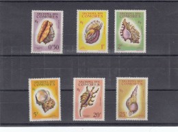 Comores - Année 1962 - Coquillages - YT 19/24 - Neufs** - Unused Stamps