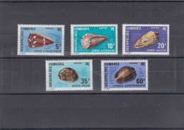 Comores - Année 1971 - Coquillages - YT 72/76 - Neufs** - Nuovi