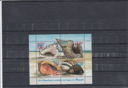 Mayotte - Année 2000 - Coquillages - YT BF 4 - Neuf** - Unused Stamps