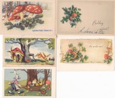 5x  POSTCARDS,GRETTING CARD,MUSHROOMS,RABBIT,CLOVER,6/10 CM,ROMANIA - Pilze