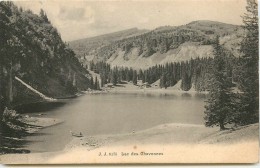 SUISSE ORMONT DESSOUS LAC DES CHAVONNES - Ormont-Dessous