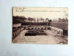 Carte Postale Ancienne : GRIGNON : Ecole Nationale D´Agriculture, Seconde Cour De Ferme, Animé, Tampon Vaguemestre 1915 - Grignon