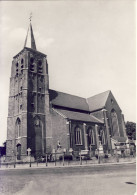 Wechelderzande Kerk - Lille