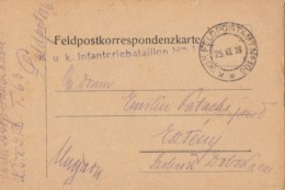 WARFIELD POSTCARD, WARFIELD POST NR 106, WW1, CENSORED INFANTRY BATTALION NR 1/63, 1916, HUNGARY - Briefe U. Dokumente