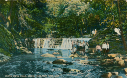 US NEW YORK CITY / Bronx River Falls, Bronx Park / CARTE COULEUR - Bronx