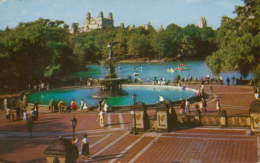 US NEW YORK CITY / Sailboat Lake And The Mall / CARTE COULEUR GLACEE - Central Park