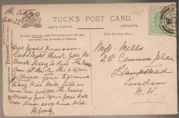 Great Britain &  Postal, Pets And Puppies, Vintage Tuck Postcard, London 1906  (4404) - Brieven En Documenten