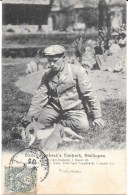 ALLEMAGNE - PARC ZOOLOGIQUE FONDE EN 1907 A HAMBOUR - CARL HAGENBECK, TIERPARK - Lion Tigre - Stellingen