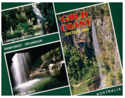 (835) Australia - QLD - Gold Coast Rainforest - Gold Coast