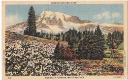 Rainier National Park, Mountain Flowers, White Heather, 1953 Used Linen Postcard [17465] - USA National Parks